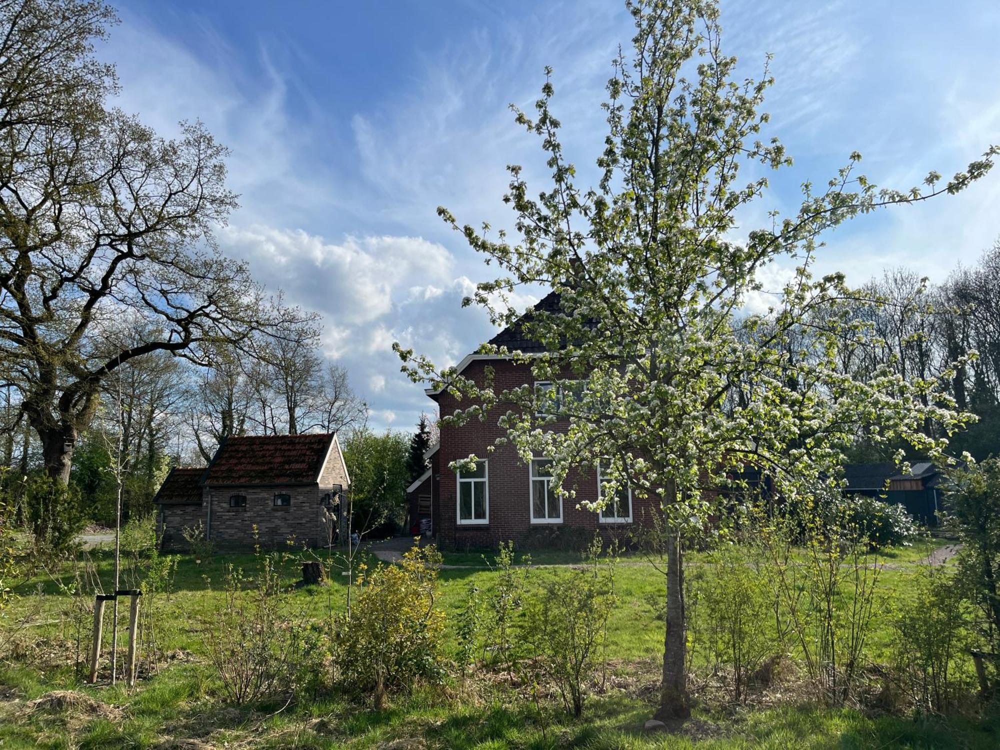 Hoeve Veganza B&B Vlagtwedde Exterior foto