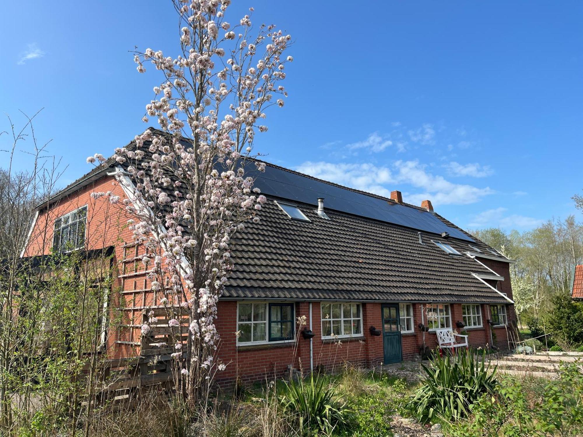 Hoeve Veganza B&B Vlagtwedde Exterior foto